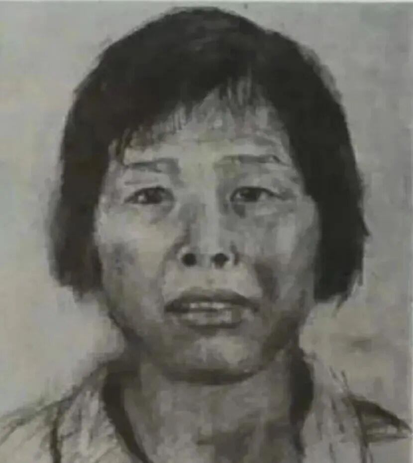  潜逃二十余载的“梅姨”现身；谢某某被捕，受害家庭迎来曙光。 新闻 潜逃二十余载的“梅姨”现身；谢某某被捕，受害家庭迎来曙光。 新闻