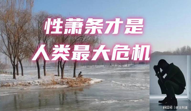  深度行业数据分析报告：解析现代情感市场的结构性变迁与破局策略 IT技术