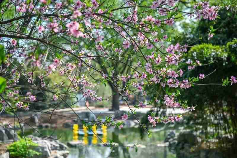 都市游憩的哲学重构:从观光到共情的深度探索 文化旅游