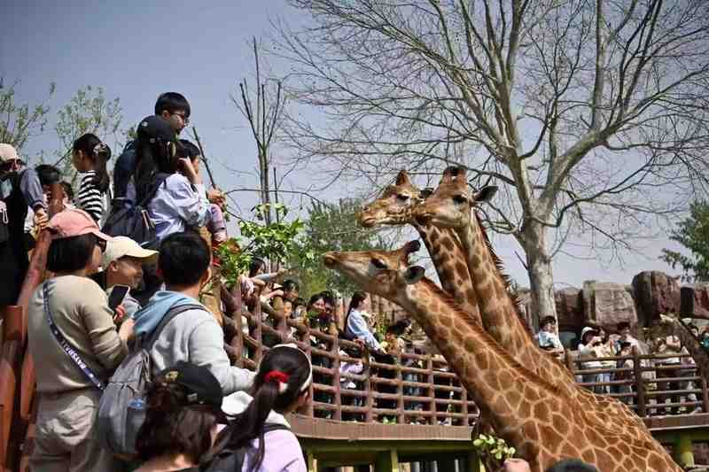 都市游憩的哲学重构:从观光到共情的深度探索 文化旅游
