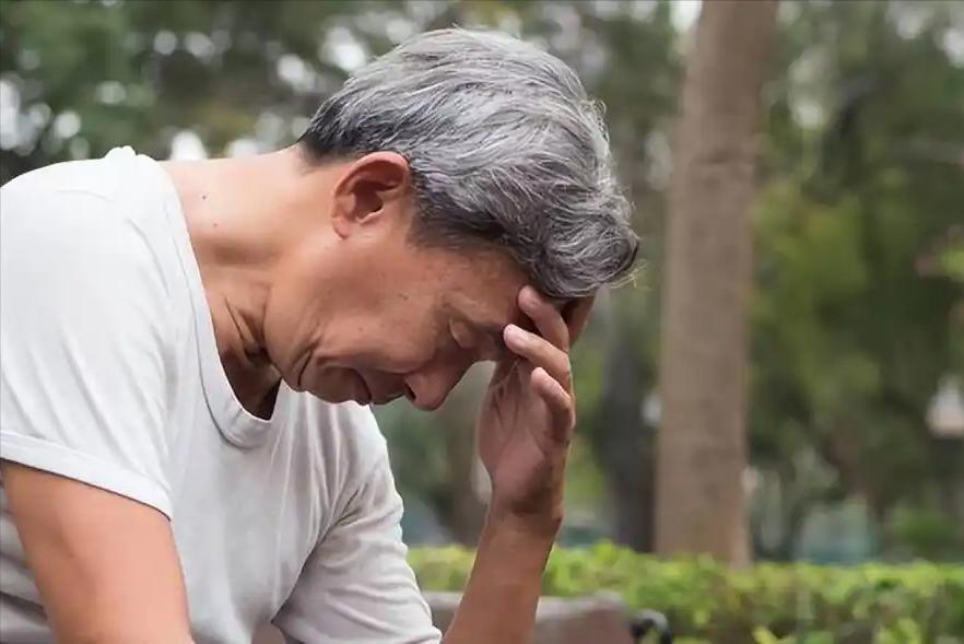  从生理机制到数据验证：午睡如何重塑人体下午的能量曲线 健康养生