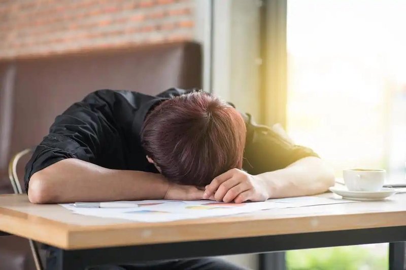  从生理机制到数据验证：午睡如何重塑人体下午的能量曲线 健康养生