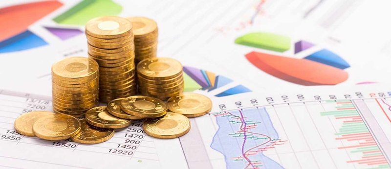  信任托付：青浦如何用行动书写对这片土地的承诺 新闻