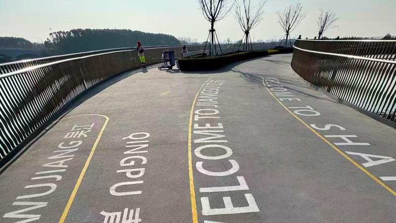  信任托付：青浦如何用行动书写对这片土地的承诺 新闻