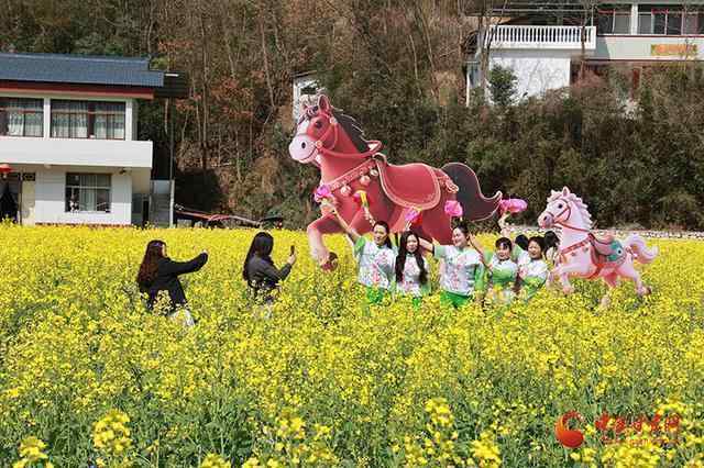 【技术解码】甘肃“花经济”产业链：数据背后的产业闭环逻辑 文化旅游