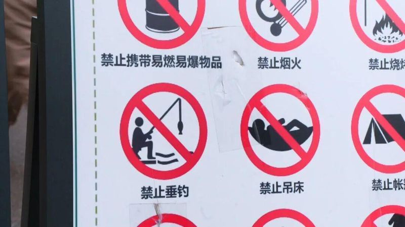  它们回家了！苏州河边的这场生命重逢，治愈了整座城市的焦虑 文化旅游