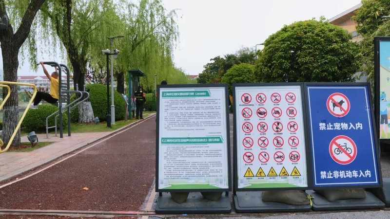  它们回家了！苏州河边的这场生命重逢，治愈了整座城市的焦虑 文化旅游