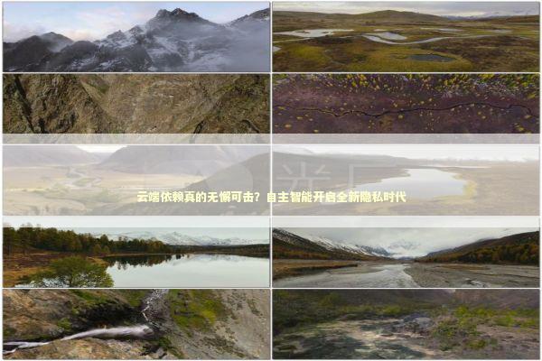 云端依赖真的无懈可击？自主智能开启全新隐私时代