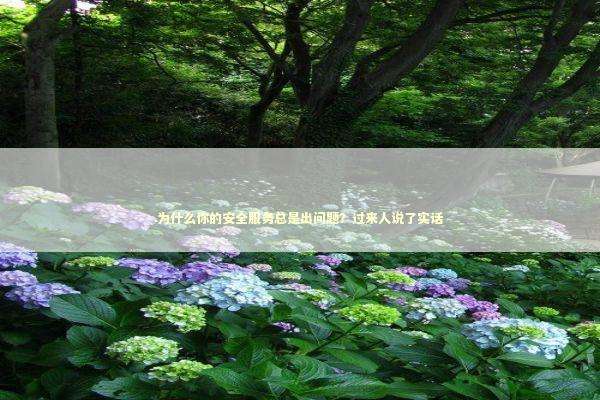 为什么你的安全服务总是出问题？过来人说了实话 IT技术