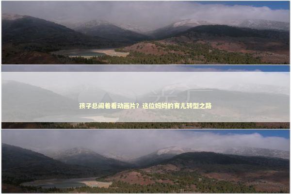 孩子总闹着看动画片?这位妈妈的育儿转型之路 孩子总闹着看动画片?这位妈妈的育儿转型之路 文化旅游