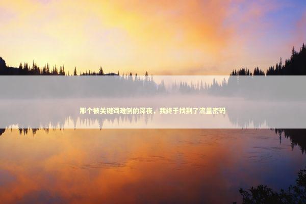 那个被关键词难倒的深夜，我终于找到了流量密码